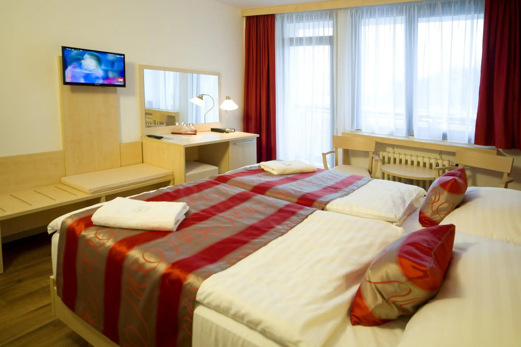 Superior Single room