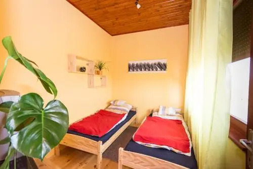 Vadmacska Vadász és Vendégház - фото 18