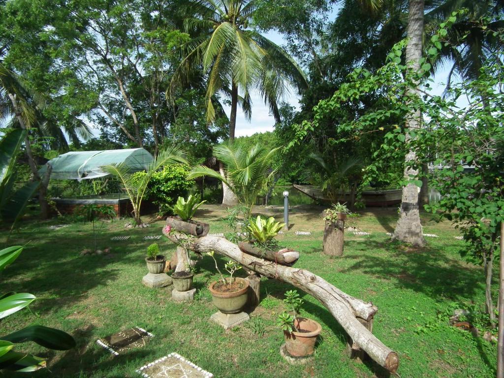 Coconut Island