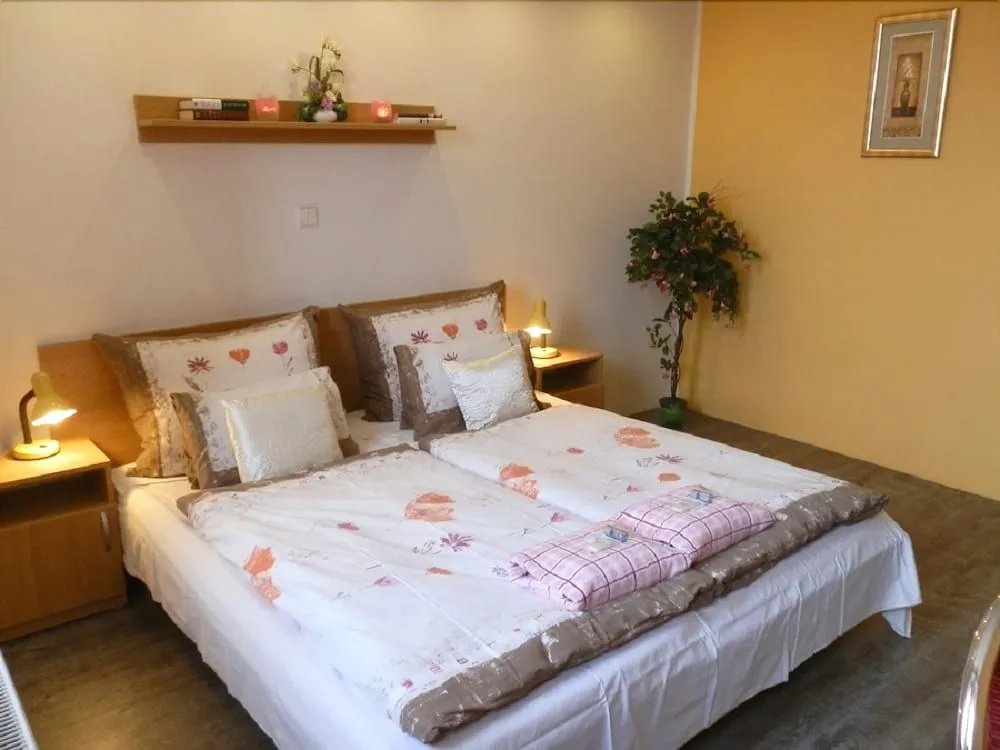 Hotel Gól Prostějov - Général