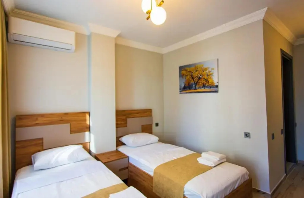 Standard Double room (twin beds)