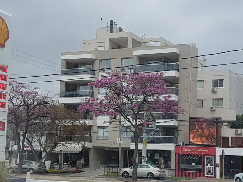 Apartamento Reyes Catolicos