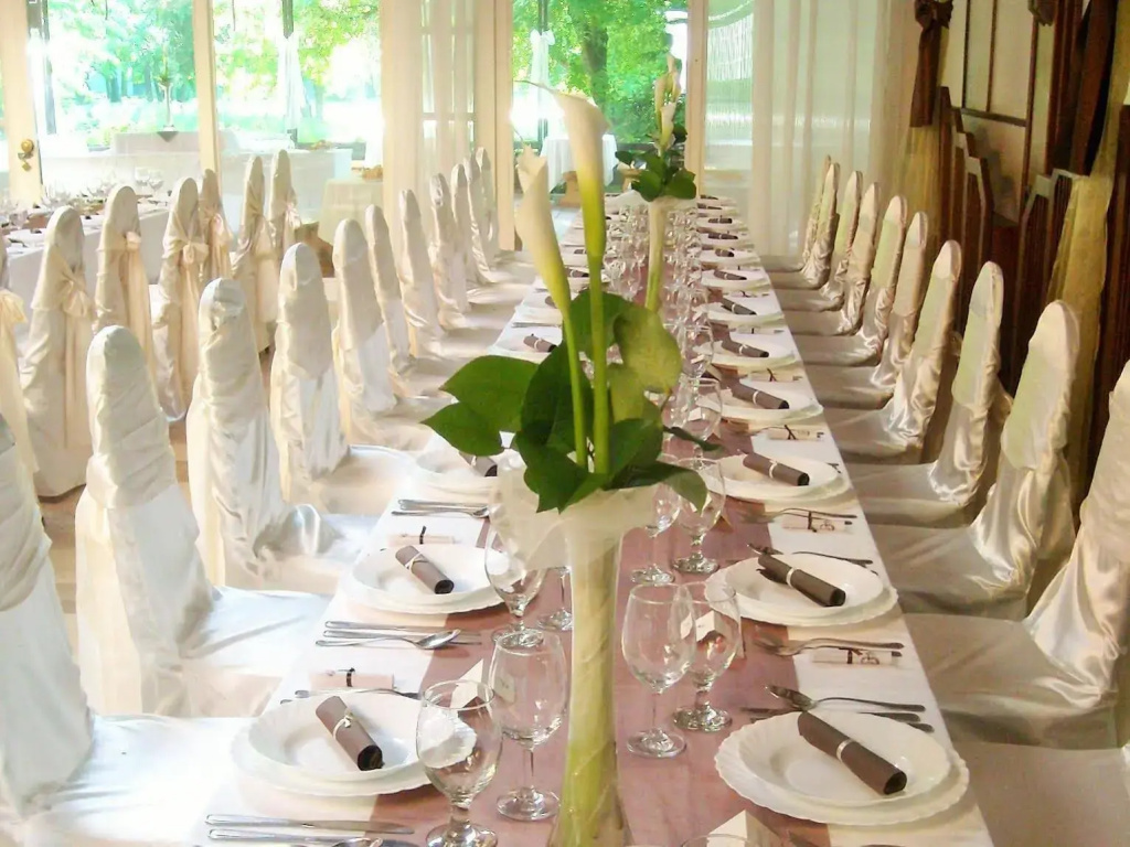 Park Hotel Gyula - Général