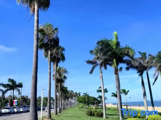 Xiamen | Meet Guanke SeasideCourtyard Family Homestay (Botanical Garden) in Xiamen
