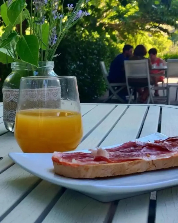 Hotel Ribera del Corneja - Général