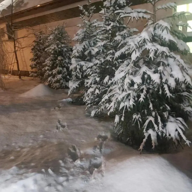 Nadmorskie Apartamenty