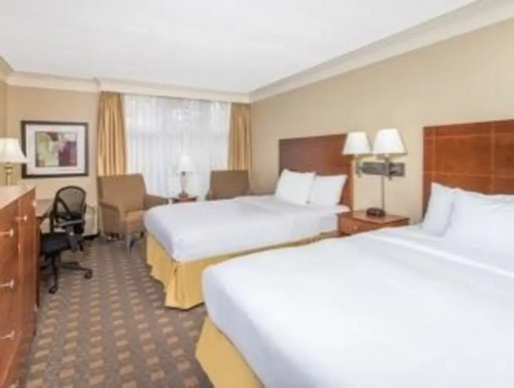 Standard Double room (twin beds)
