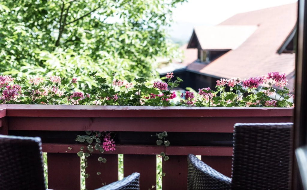 Balcony & Terrace