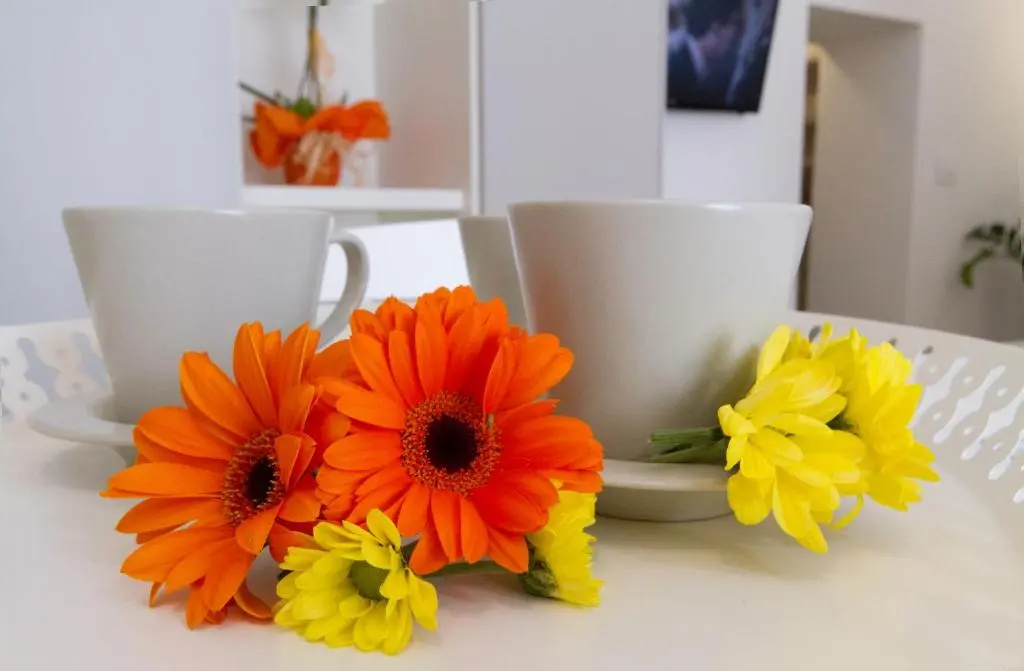 Santa Marina Bed & Breakfast - Chambres