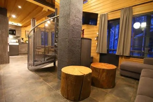 Tunturipöllö 2 — фото 2