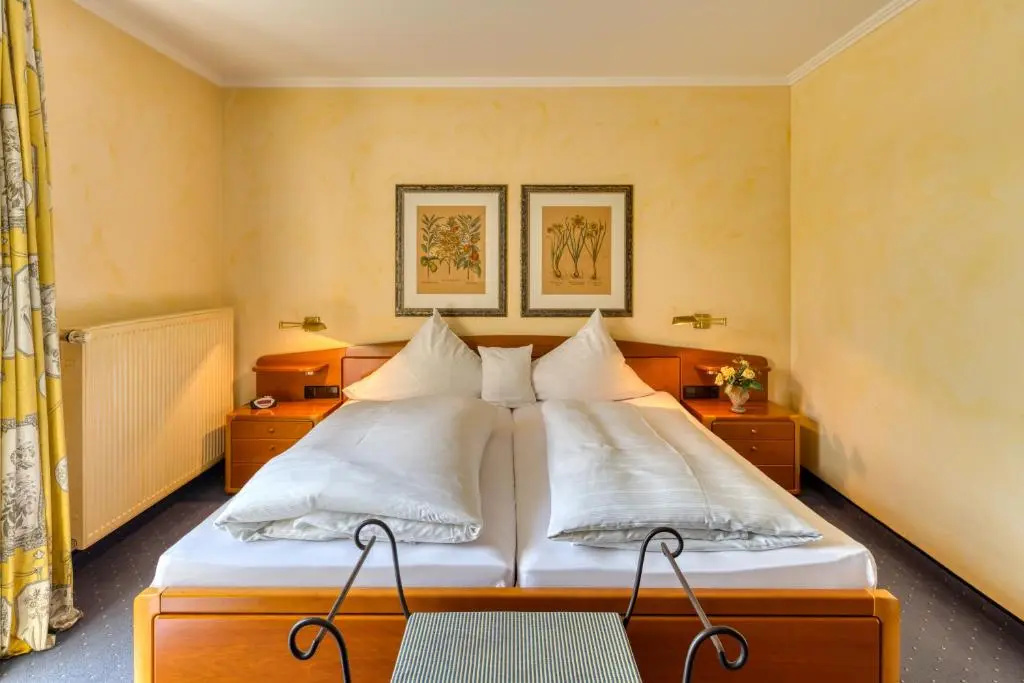Standard Double room (full double bed)