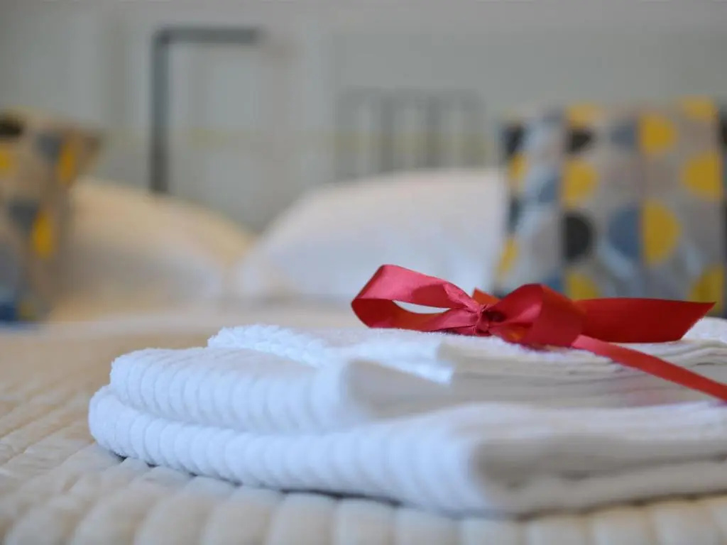 Standard Double room with city view (full double bed)