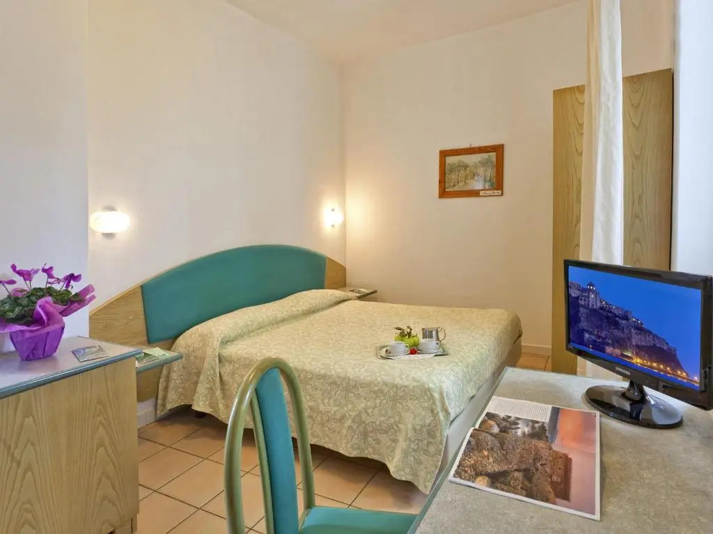 Standard Double room with garden view (full double bed)