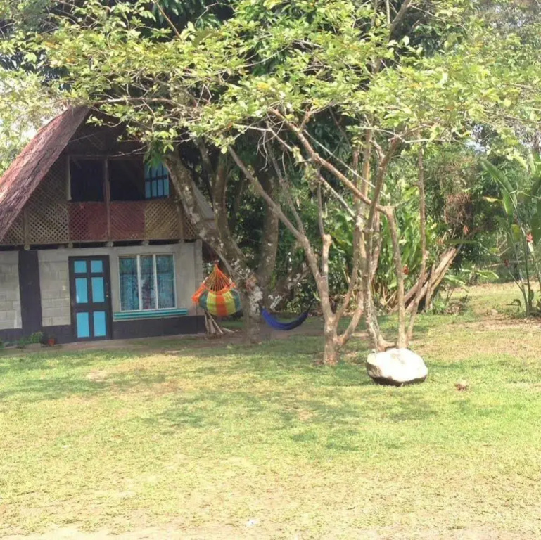 Wood House Hostel