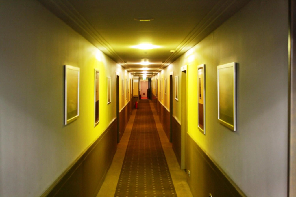 Image 11