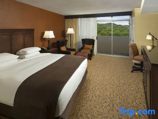 2-room Double Suite with balcony full double bed