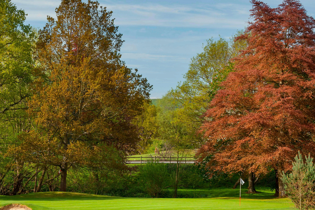 Delta Hotels by Marriott Tudor Park Country Club - Général