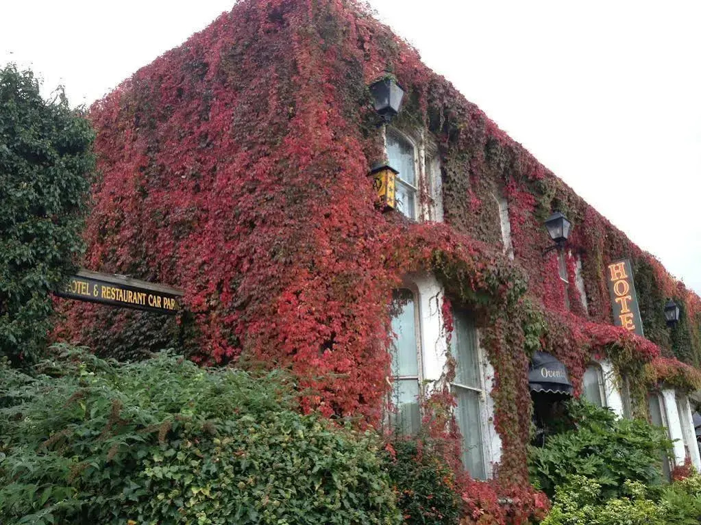 Overcliffe Hotel