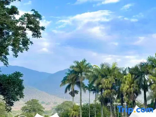 Tengchong Dayan Residence (Overseas Chinese Town Dream Tengchong)