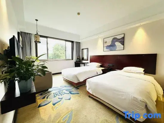 Superior Double room (twin beds)