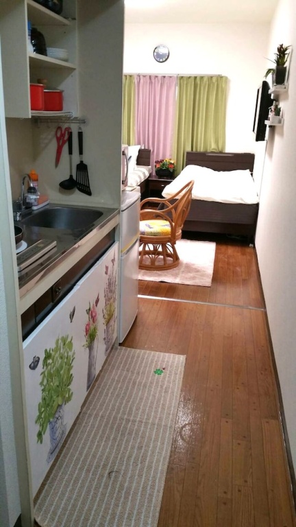 Shinjuku Shin Okubo house 사진 12