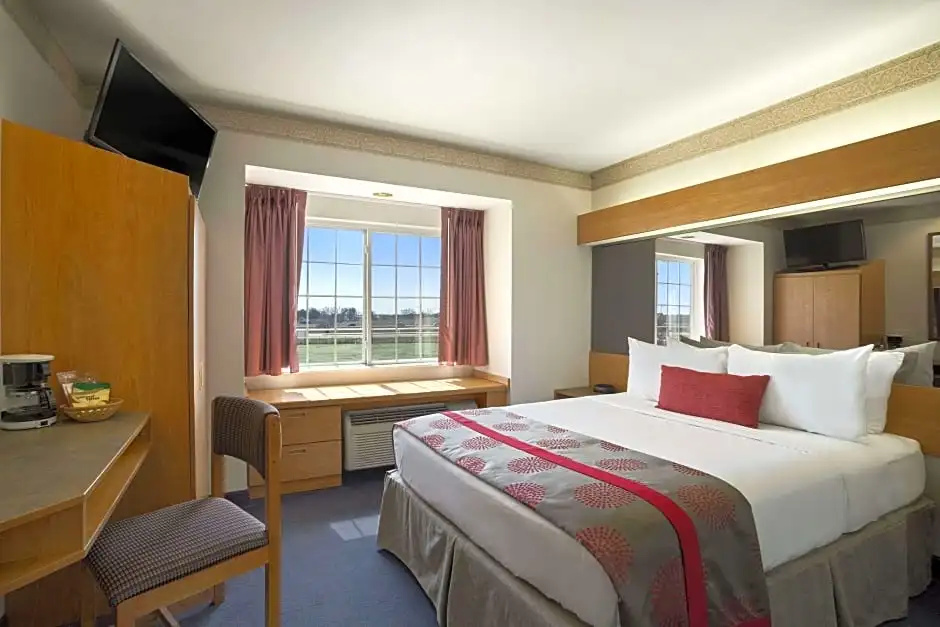 1 Bedroom Quadruple Suite