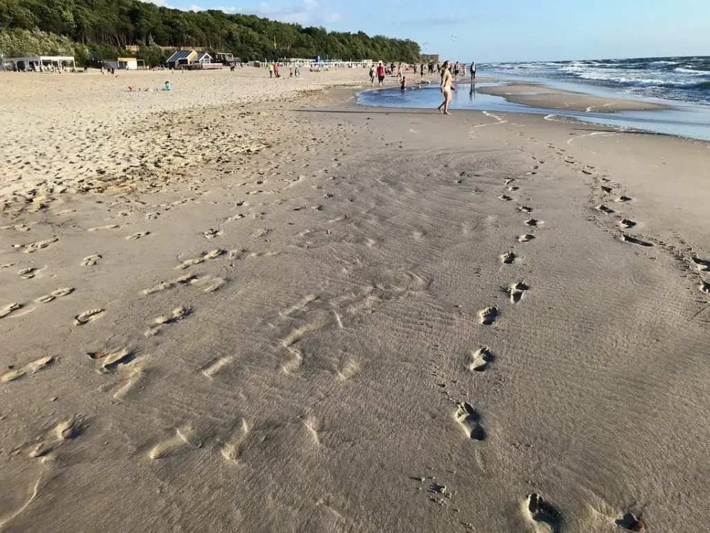 Кусто - фото 23