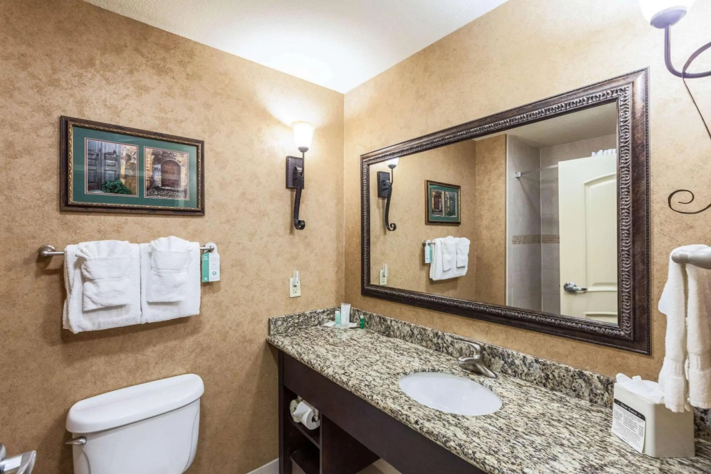 Comfort Suites Alamo - Riverwalk - Général
