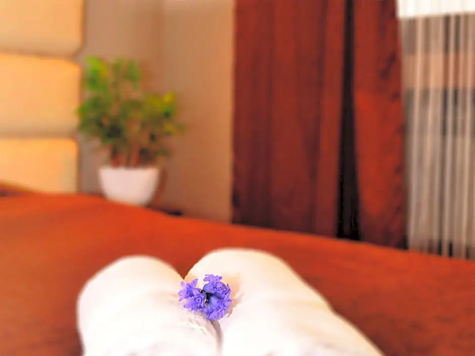 Petrus Hotel - Chambres