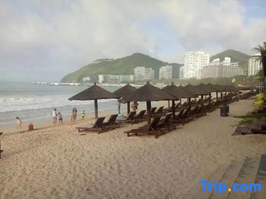 Beach & Waterfront