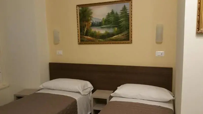 Standard Double room (twin beds)