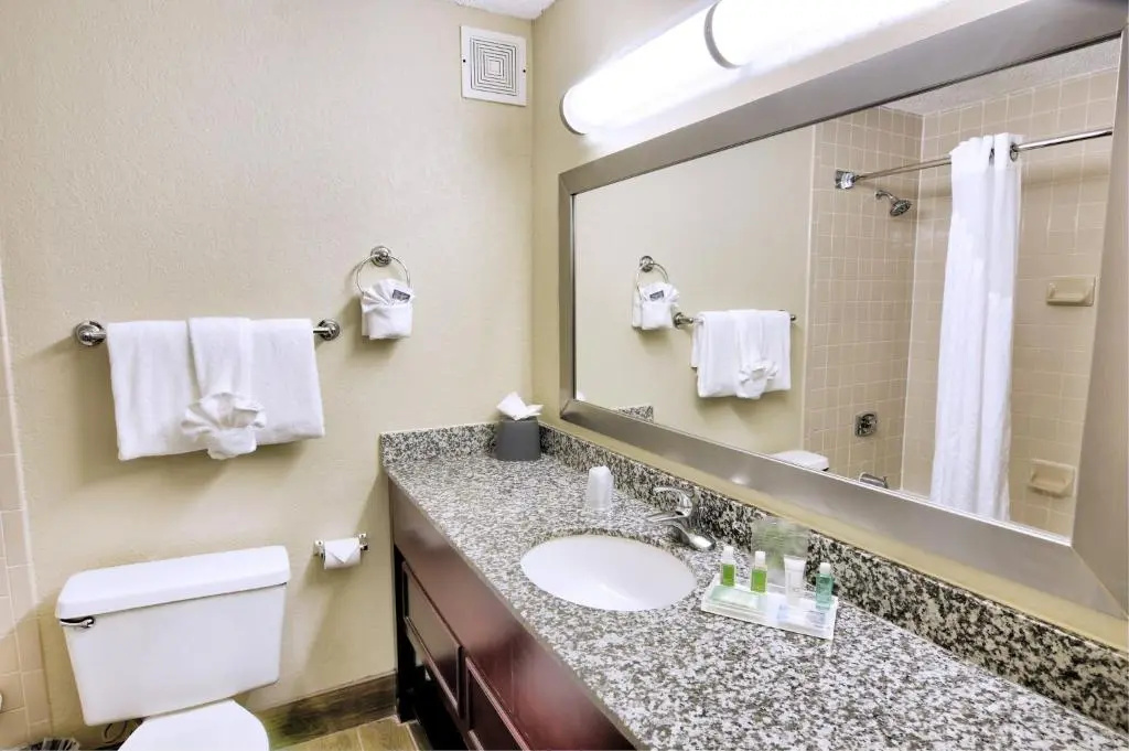 Holiday Inn St Petersburg N - Clearwater by IHG - Chambres