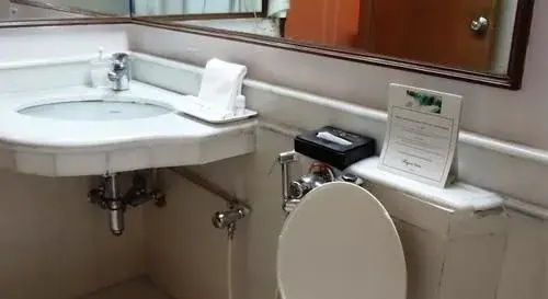 Regent Andheri Hotel - Général