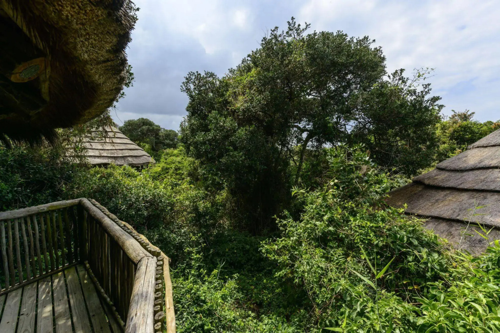 Hotel photo 40