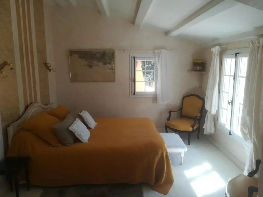 Deluxe Double room (full double bed)