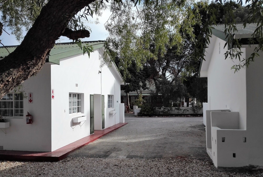 Green Olive Guesthouse