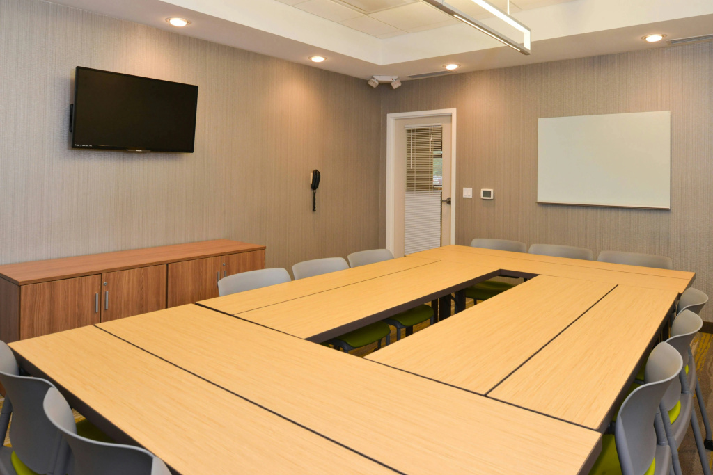SpringHill Suites by Marriott Detroit Metro Airport Romulus - Général