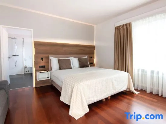 Deluxe Double Attic room (full double bed)