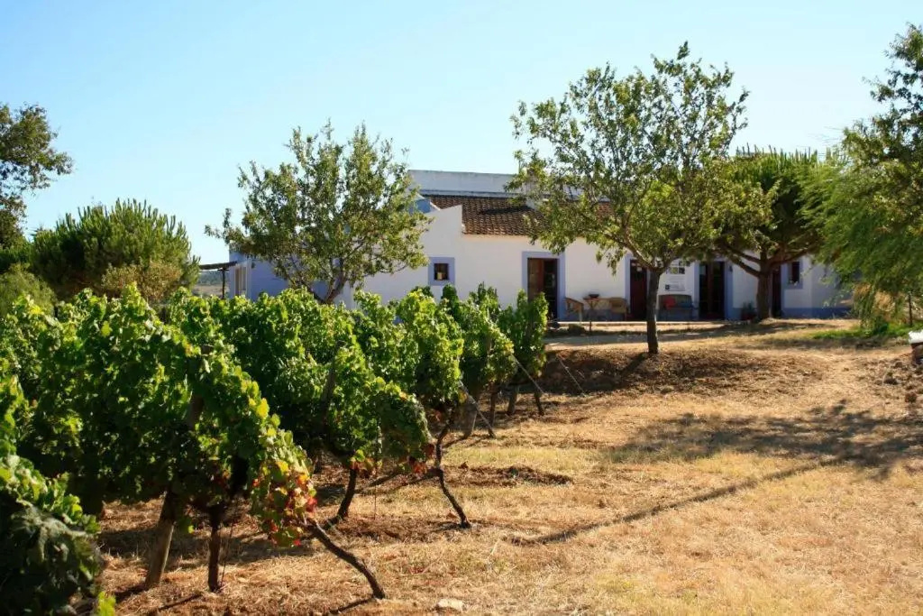 Monte da Casteleja - Chambres