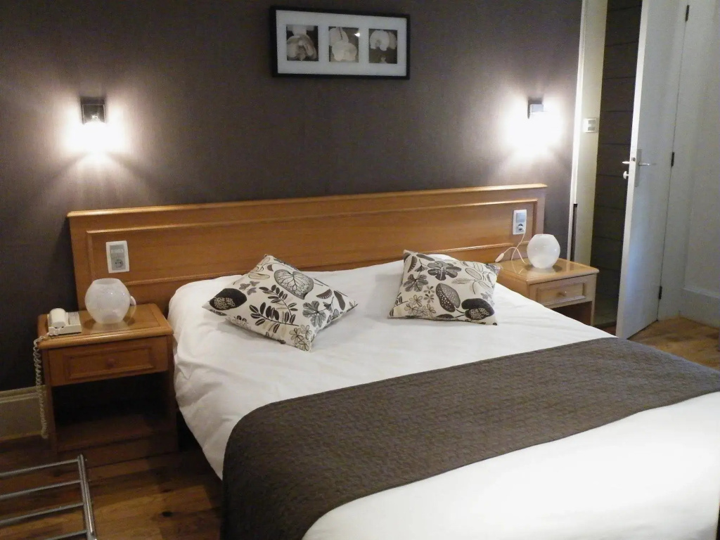 Brit Hotel Roanne - Le Grand Hotel - Général