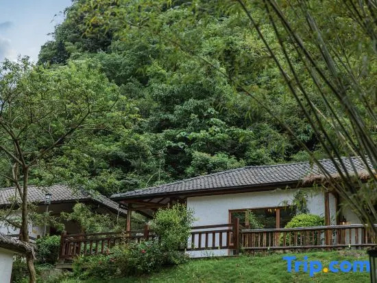 Anji dust-free night (former dust-free valley longtan mountain residence)