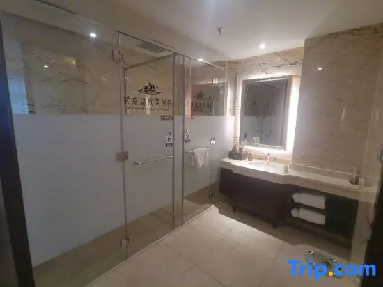 Premier Double room (full double bed)