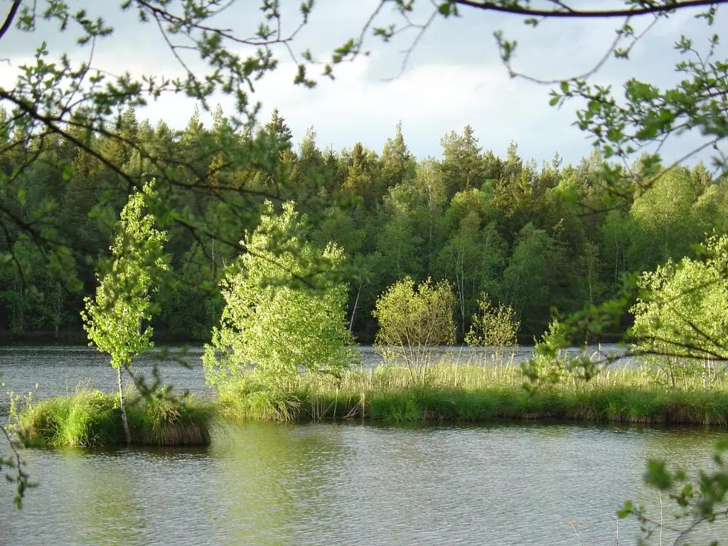 Landhotel Alte Mühle - Chambres