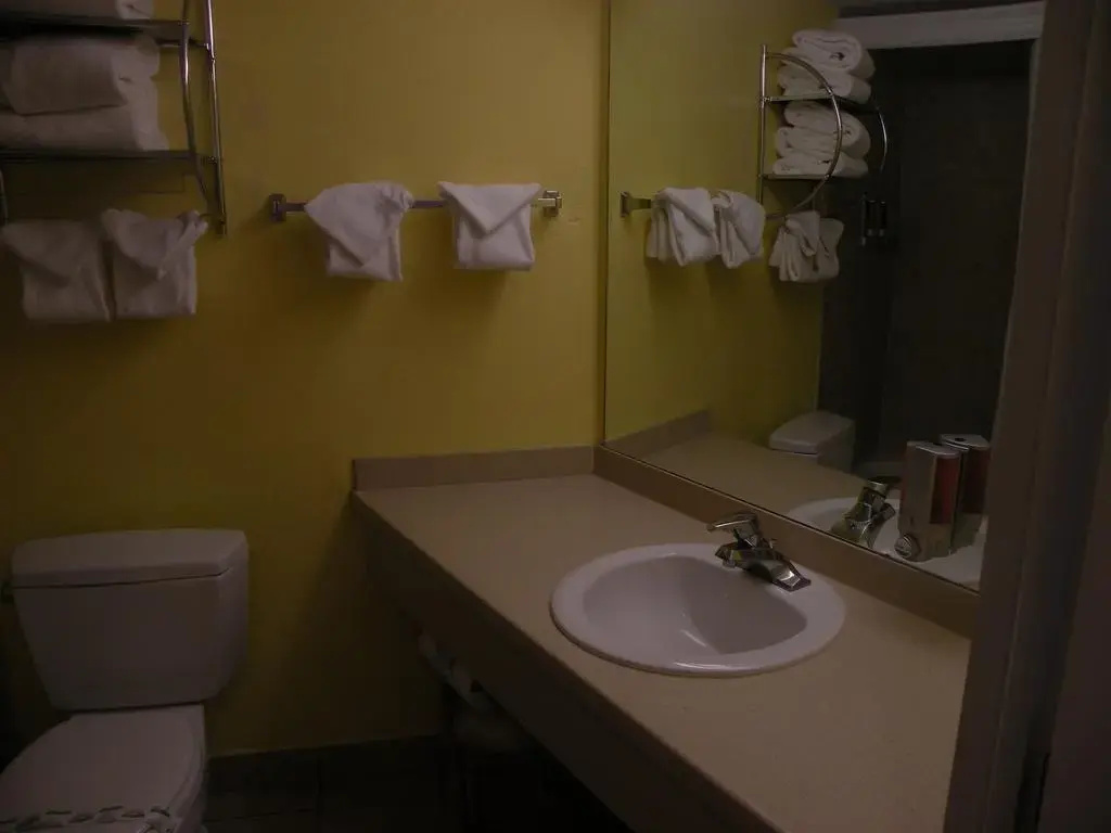Hotel photo 8