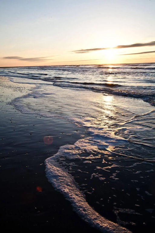 Wild Dunes Resort – Sweetgrass Inn and Boardwalk Inn - Général