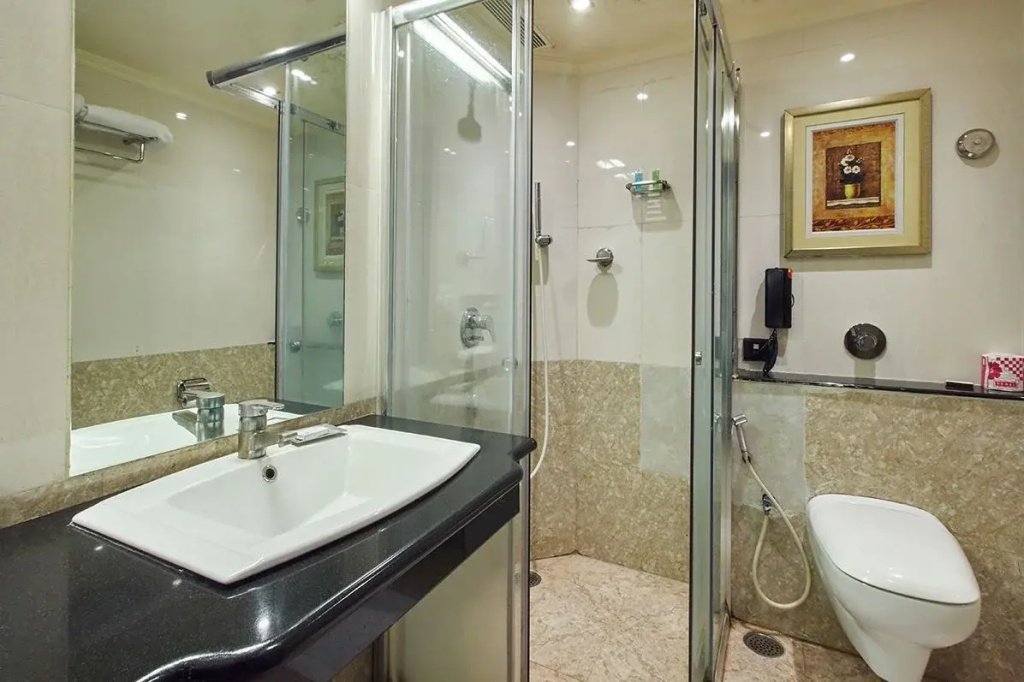 Royalton Hyderabad - Général