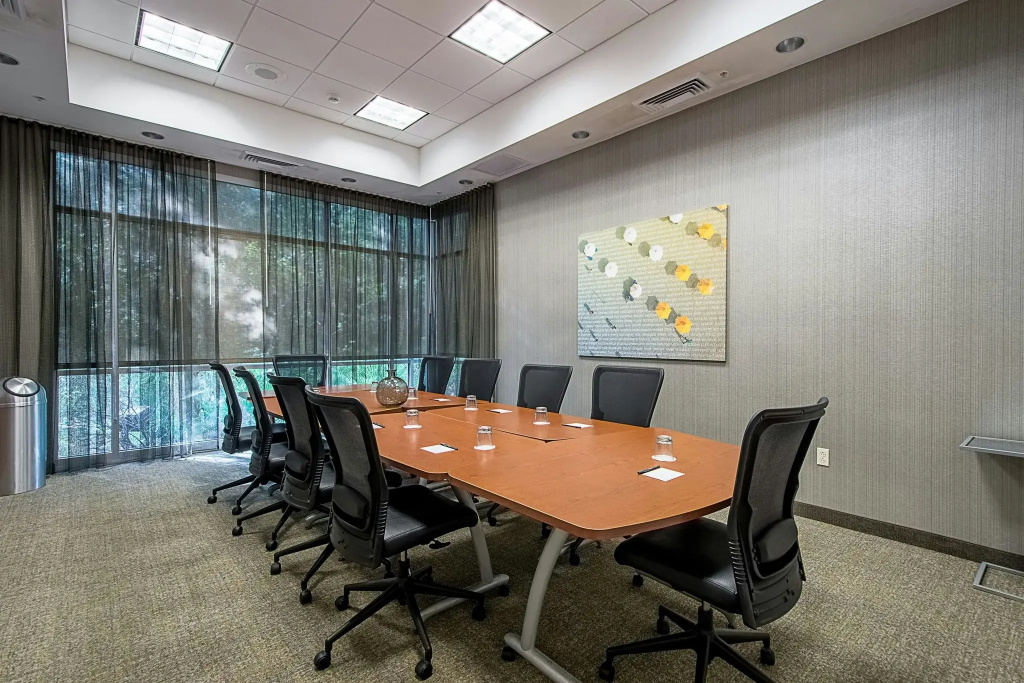 SpringHill Suites by Marriott Tampa North/I 75 Tampa Palms - Général
