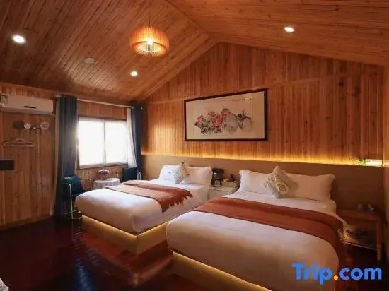 Deluxe Double room (twin beds)