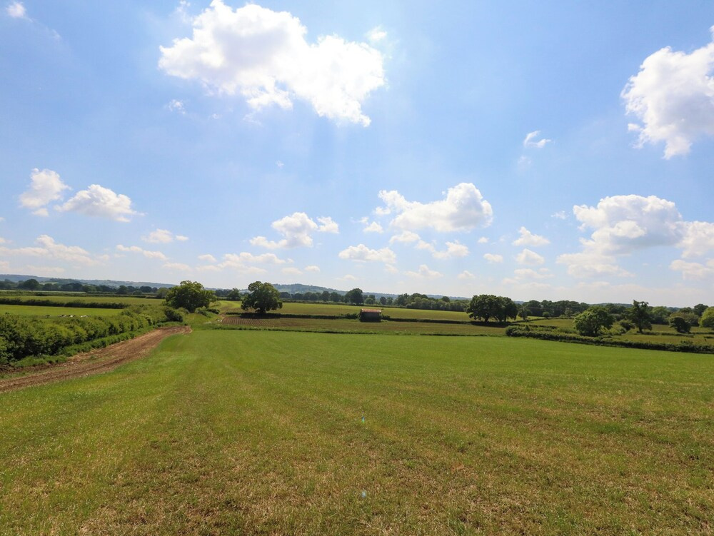 Frogwell