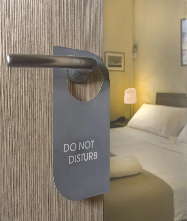 Standard Double room with mountain view (full double bed)